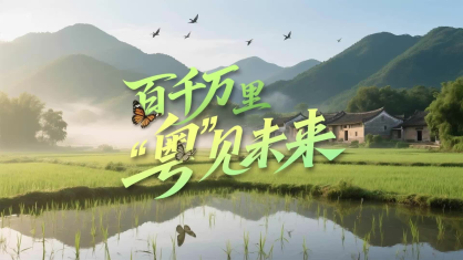 百千万里“粤”见未来